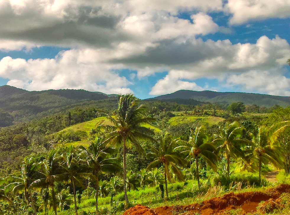 terres-agricoles-cadet-sainte-rose-guadeloupe-france Terres agricoles du SAPPCSR | Cadet Sainte Rose | Guadeloupe