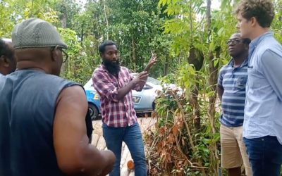 Débriefing sur la zone de Douville Moreaux à Goyave en Guadeloupe – Petites Antilles