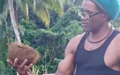 Saccage d’un champ à Sarcelle Goyave par l’ONF en Novembre 2019