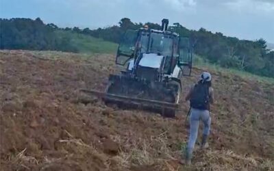 Flagrant délit d’arrachage sauvage sur les terres du SAPPCSR