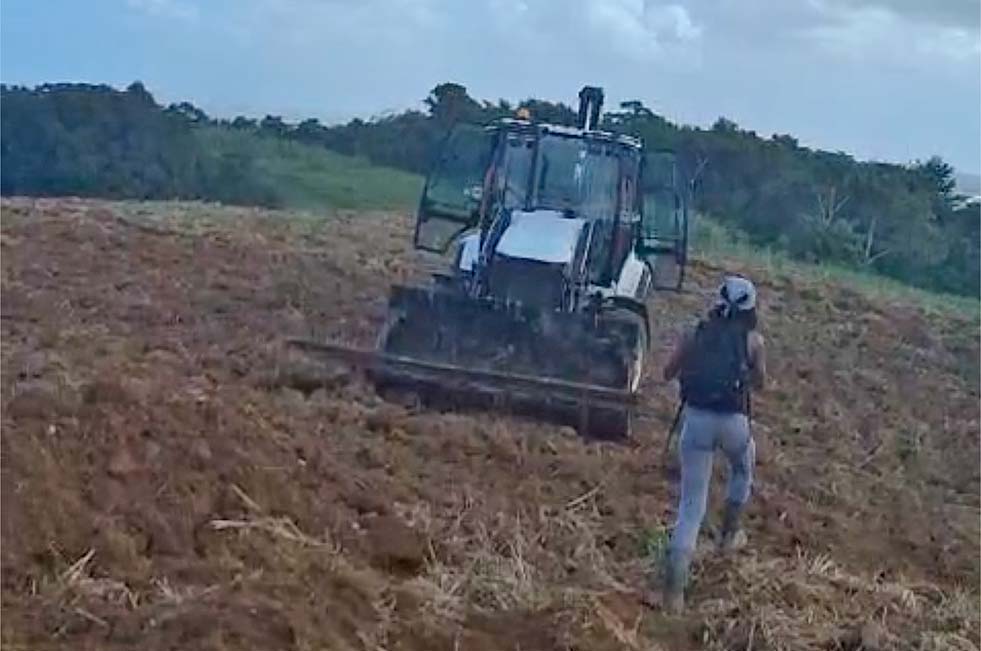 Les membres du SAPPCSR prennent un individu en flagrant délit d'arrachage de plants agricoles sur ses terres