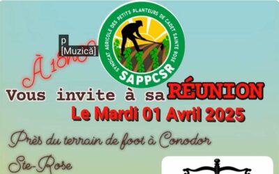 Réunion du SAPPCSR – 1er avril 2025 à 18h30