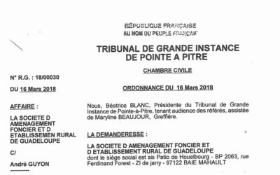Ordonnance du 16 Mars 2018, la Safer contre M. Guyon