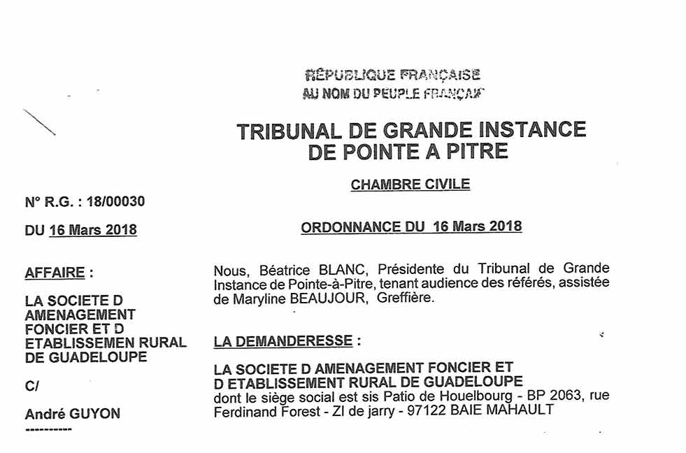 Retour sur l'rdonnance du 16 mars 2018 - Safer contre Guyon