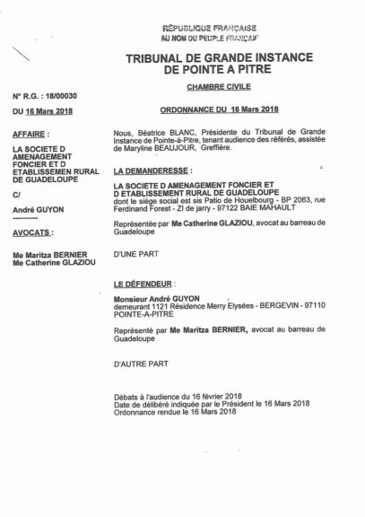 Ordonnance du 16 mars 2018 - Safer contre Guyon