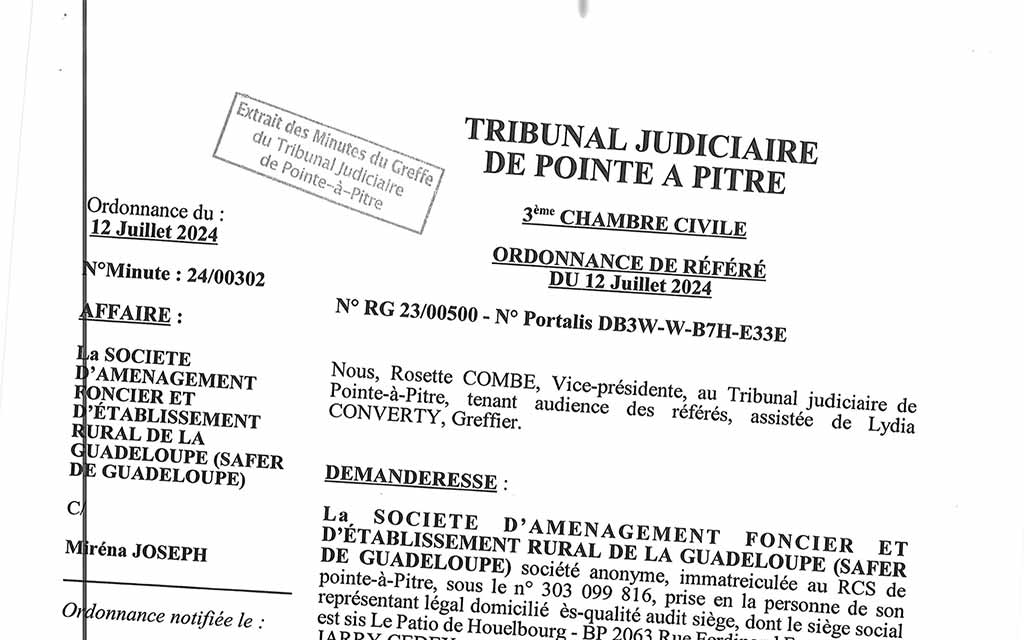 Ordonnance de référé du 12 juillet 2024 - Safer contre Mirena Joseph