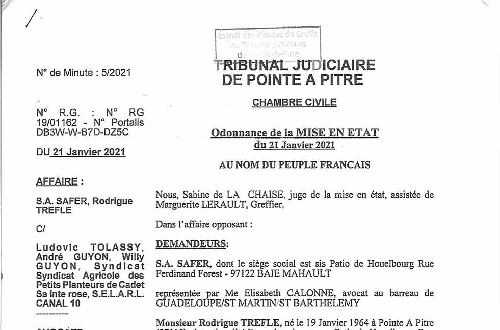Ordonnance du 21 janvvier 2021 canal 10 : Guyon-Tolassy et Safer - Annulation de l'assignation du 29 avril 2019 et condamnation de la Safer aux dépends.
