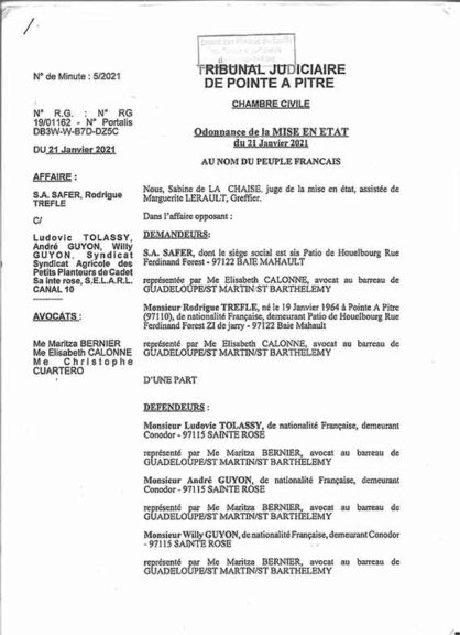 Ordonnance du 21 janvier 2021 : Guyon-Tolassy et Safe