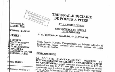 Jugement Mirena Joseph contre safer 21 juillet 2024