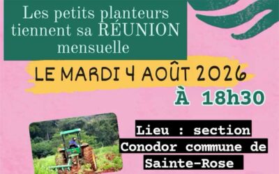Réunion du 04 août 2026